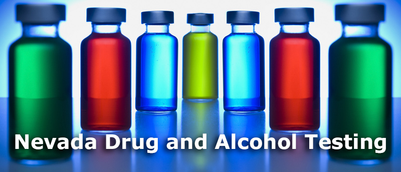 Nevia Premium Template